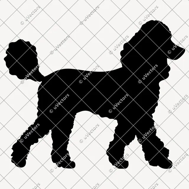 Poodle 50 Design 29 SVG