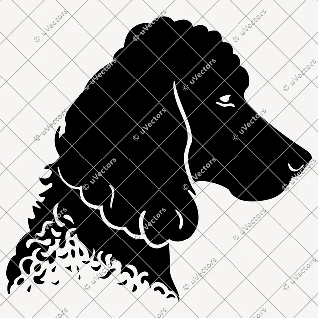 Poodle 50 Design 32 SVG
