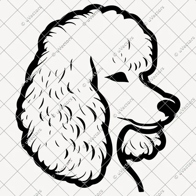 Poodle 50 Design 33 SVG