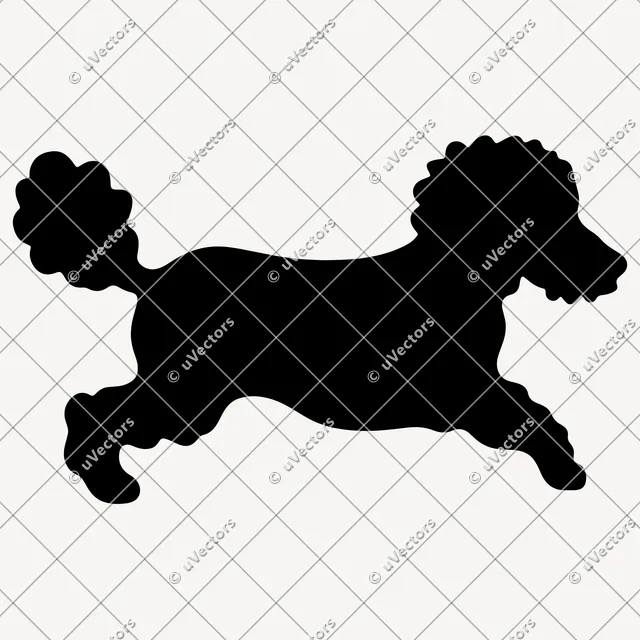 Poodle 50 Design 36 SVG