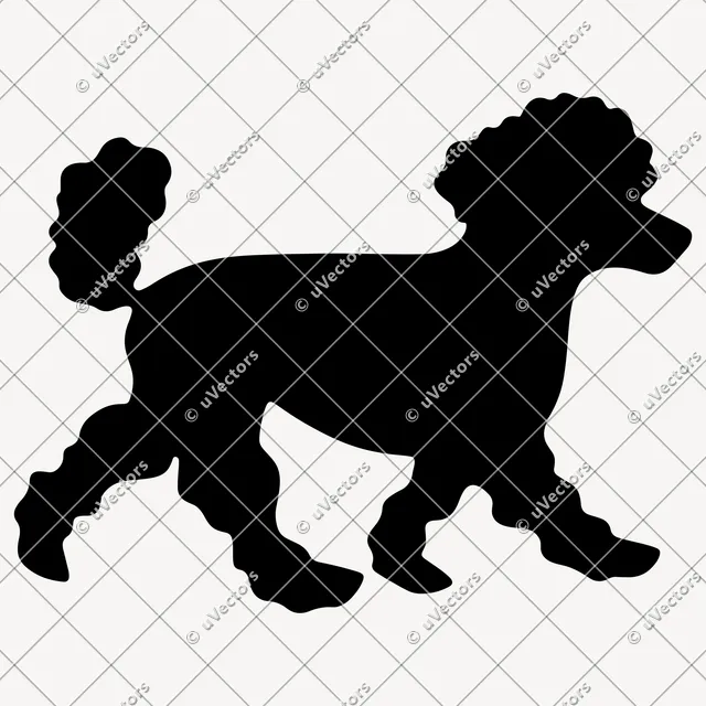 Poodle 50 Design 37 SVG