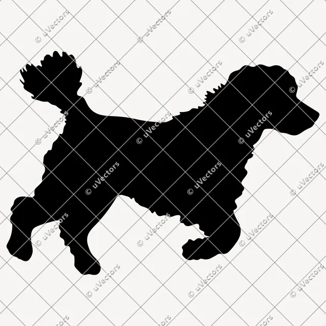 Poodle 50 Design 4 SVG