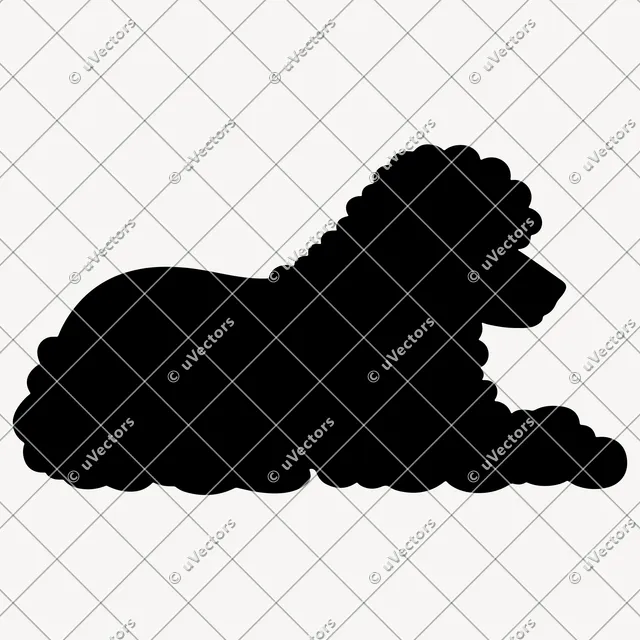 Poodle 50 Design 41 SVG