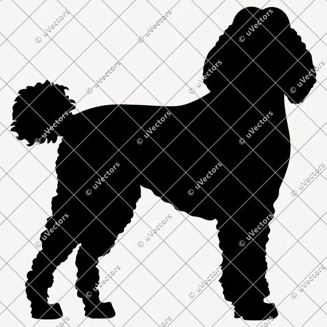 Poodle 50 Design 46 SVG