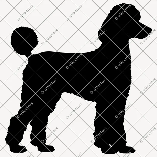 Poodle 50 Design 47 SVG