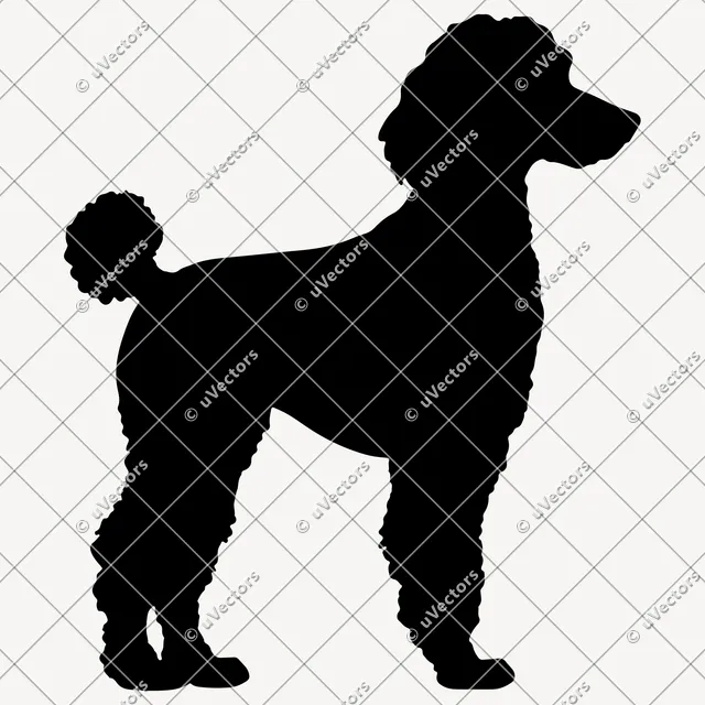 Poodle 50 Design 48 SVG
