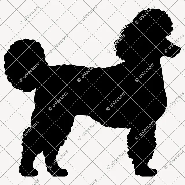 Poodle 50 Design 49 SVG
