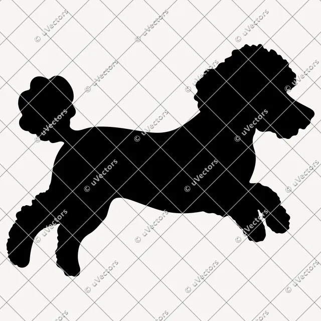 Poodle 50 Design 5 SVG